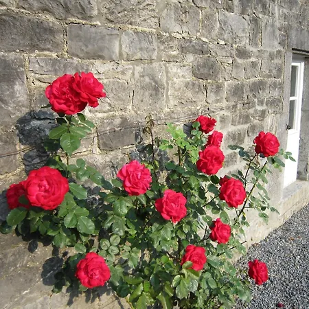 Cosy Cottage In Barvaux Condroz With Garden Holiday home Barvaux-Condroz