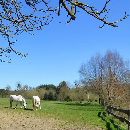 펜션 Cosy In With Garden *