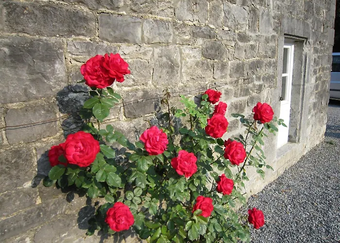 Cosy In With Garden Casa vacanze